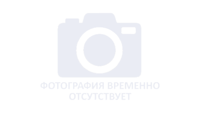 ВЦИОМ: 83 процента россиян считают, что выборы президента прошли честно